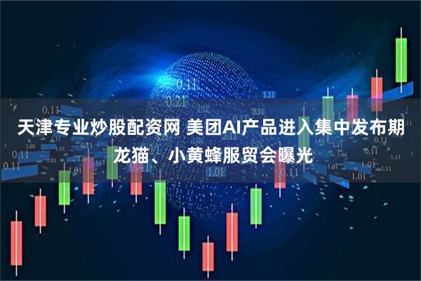 天津专业炒股配资网 美团AI产品进入集中发布期 龙猫、小黄蜂服贸会曝光