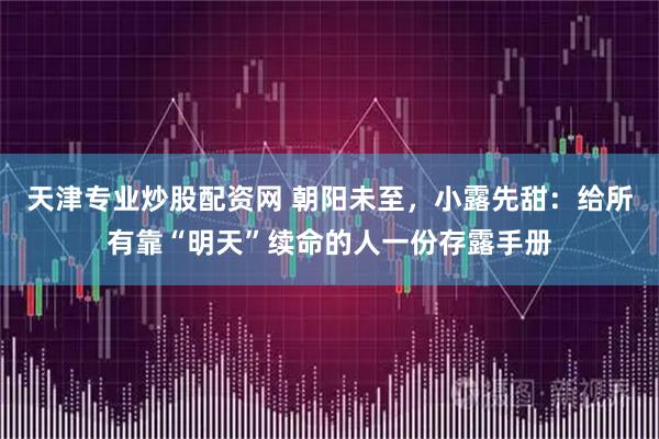 天津专业炒股配资网 朝阳未至，小露先甜：给所有靠“明天”续命的人一份存露手册